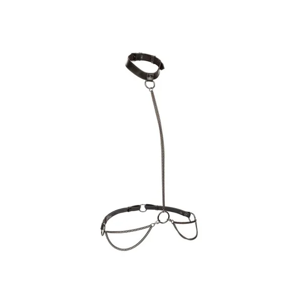 Next Product Image