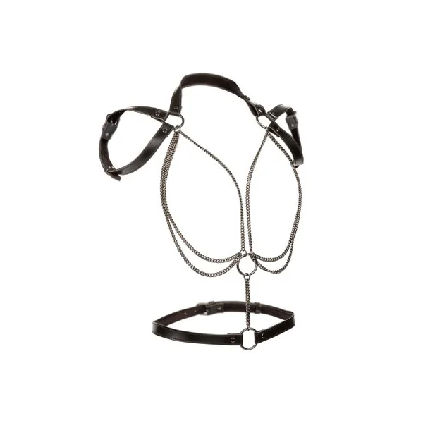 Next Product Image